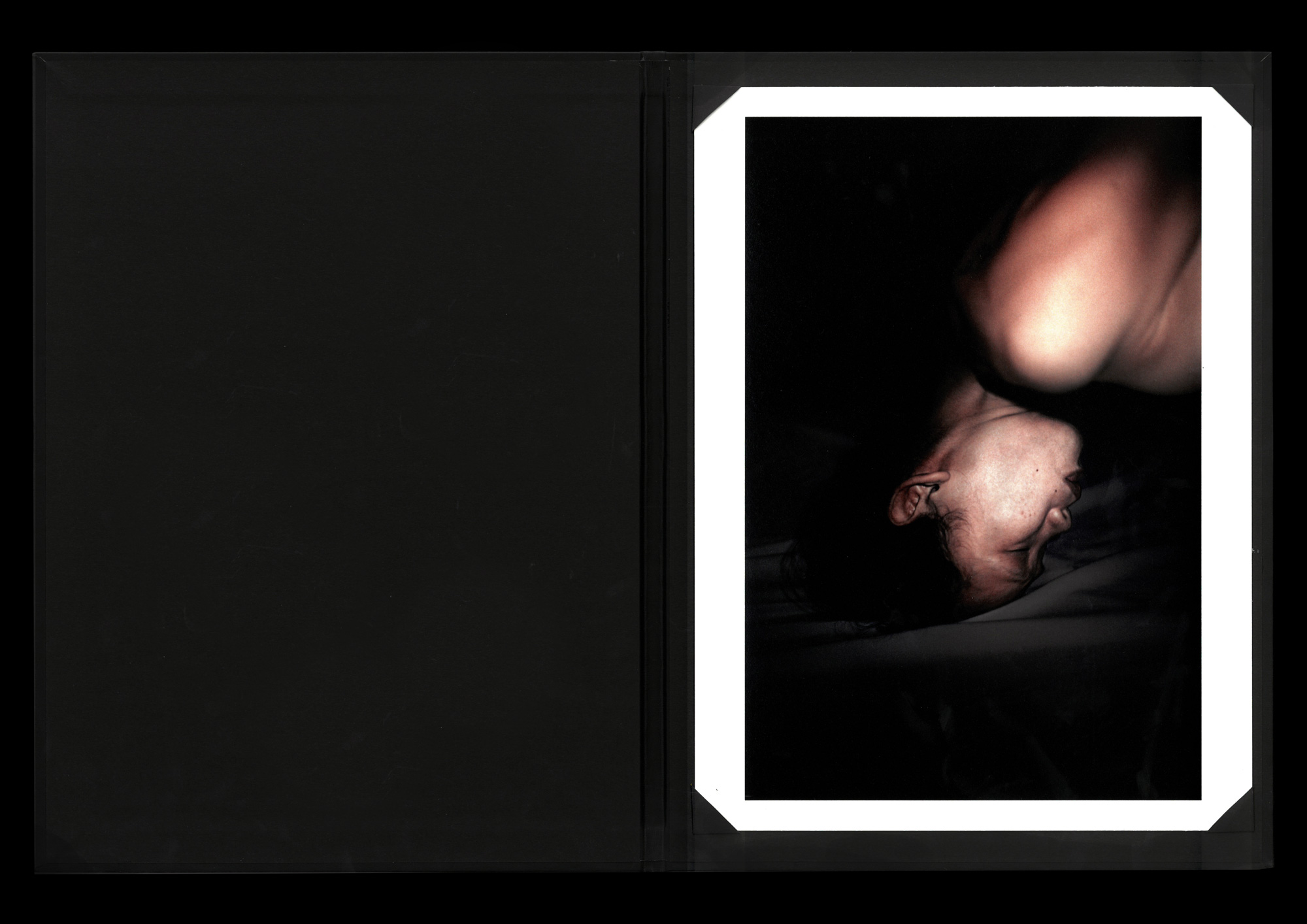 LE BAL Books - Anticorps